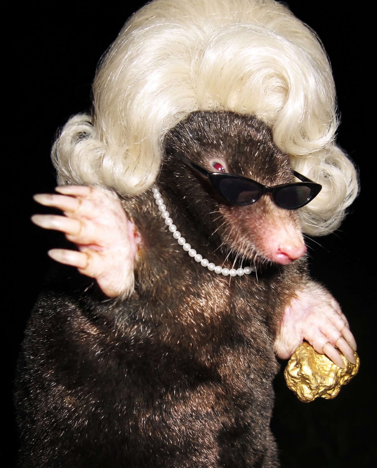 Harsh flash photo of the mole in her wig raising one claw to block the camera, gold nugget in the other, against black night.